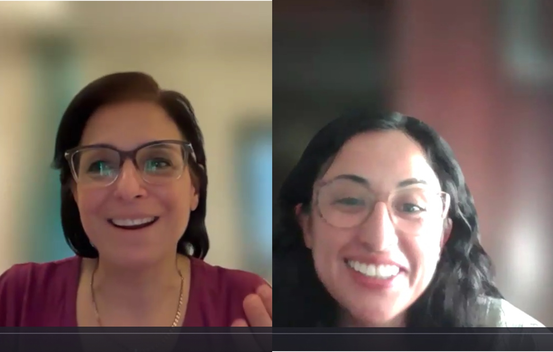 One-to-one mentoring video call between mentor and mentee
