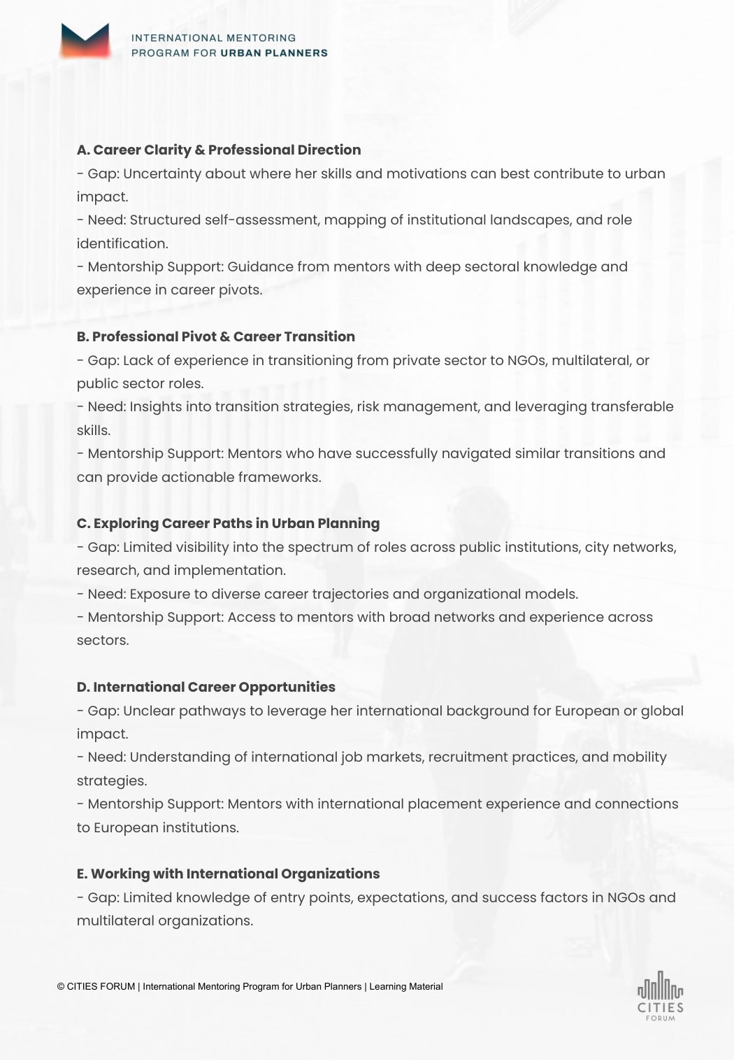 Personalised mentoring roadmap preview page 3