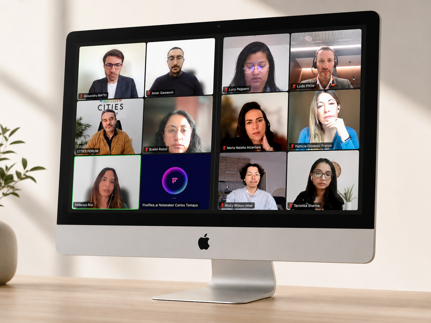 A live webinar session with mentors and mentees from the International Mentoring Program for Urban Planners